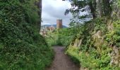 Tour Wandern Rappoltsweiler - Ribeauvillé les 3 château  - Photo 5