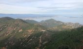 Tocht Stappen Saint-Raphaël - massif de l'Esterel : autour des grues  - Photo 2