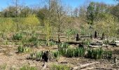Randonnée Marche Roanne - Le Coteau - Parc de Varennes - Photo 1