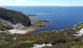 Excursión Senderismo Crozon - Morgat - Pointe de la Chèvre - Photo 10