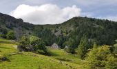 Trail Walking Orbey - Tour des 3 lacs (lac noir, blanc, Forlet) Vosges - Photo 3