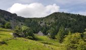 Tocht Stappen Orbey - Tour des 3 lacs (lac noir, blanc, Forlet) Vosges - Photo 3