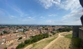 Tocht Stappen Carcassonne - Carcassonne Cité  - Photo 9