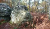 Trail Walking Fontainebleau - vert galant 25 novembre 2022  - Photo 3