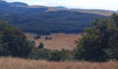 Tour Wandern Omblèze - roc de Toulaud /tête de la Dame / mur des Chartreux - Photo 4