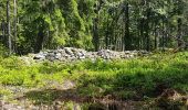 Tour Wandern Markirch - Col du Haut de Ribeauvillé - Rochers des Géants (Rother n°31) - Photo 15