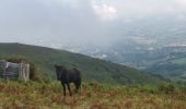 Trail Walking Ainhoa - Boucle  Gr10 - Photo 1