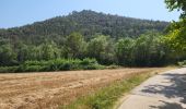 Tocht Stappen Sant Ferriol - besaliu 190724 - Photo 3