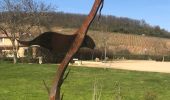 Tour Wandern Chasselas - Chasselas (Saône- et-Loire région Bourgogne)   - Photo 1