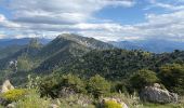 Trail Walking Castellar - Grammondo depuis Castellar - Photo 3