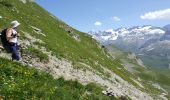 Excursión Senderismo Pralognan-la-Vanoise - Pralognan - col du soufre A/R - Photo 18