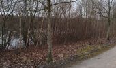 Trail Nordic walking Condé-sur-l'Escaut - la grande boucle de Condé sur Escaut  - Photo 2