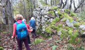 Trail Walking Vaulnaveys-le-Bas - Les Balcons de Belledonne au dėpart de Montchaffrey - Photo 7