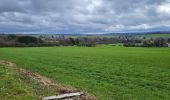 Tour Wandern Saint-Hubert - Arville 230323 - Photo 2