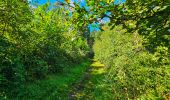 Tour Wandern Hamois - Marche Adeps à Natoye - Photo 8