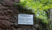 Tour Wandern Offweiler - Offwiller - Photo 4