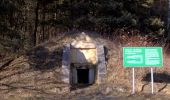 Randonnée A pied Sankt Johann in der Haide - Fischteich Rundwanderweg - Photo 1