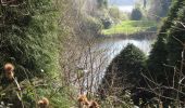 Percorso A piedi Sconosciuto - Castlewellan Forest Park - Cypress Pond Walk - Photo 2