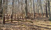 Tocht Stappen Soultz-sous-Forêts - Le sentier des cimes depuis Soultz - Photo 17