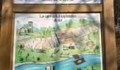 Trail  La Sône - La Sône le sentier du martin pêcheur  - Photo 17