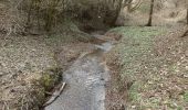 Tour Zu Fuß Linsengericht - Linsengerichter Rundwanderweg Nr.1 - Photo 5