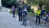 Excursión Senderismo La Crau - Fenouillet Hyères - Photo 3