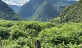 Trail Horseback riding Accous - Accous-Lescun-Lhers - Photo 20