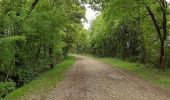 Tocht Stappen Montignac-Charente - La rando de Puyssanganou entre Montignac et saint Amand de Boixe - Photo 5