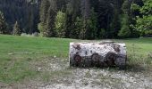 Tocht Stappen Sarcenas - col de porte exam ens - Photo 2