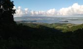 Tocht Stappen Les Trois-Îlets - Morne Gardier - Morne du Riz - Photo 5