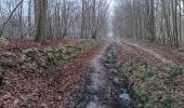 Trail Walking Ferrières - entre xhoris et bois de monty - Photo 6