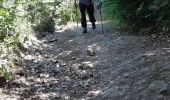Trail Walking Saint-Victor-la-Rivière - LA FORET DE COURBANGES - Photo 12