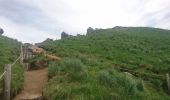 Excursión Senderismo Mont-Dore - départ Capucin vers puy de Sancy en passant par le pas de l'âne retour chemin des artistes 2019-25-06  - Photo 10