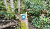 Trail Walking Bouillon - Bellevaux 190923 - Photo 16