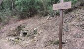 Randonnée Marche Pierrefeu-du-Var - cabane des gardes-Pierrefeu-25-02-22 - Photo 4