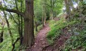 Tour Wandern Esneux - esneux . ham . roche aux faucons par les petits chemins  - Photo 19