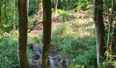 Randonnée Marche Stoumont - La Mont des Brumes - Photo 13