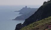 Trail Walking Plévenon - du Fort La Latte au Cap Fréhel - Photo 8