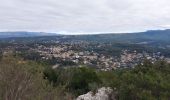 Tour Wandern Peypin - Peypin ;La Cride-Vallon des Mules-Mau Vallon-Le Cstellas - Photo 1