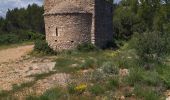 Tour Wandern Piolenc - 84 st montant zel - Photo 6