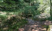 Trail Walking Saint-Chély-d'Aubrac - Compostelle / Chemin du Puy : de Aubrac à Bonneval - Photo 3