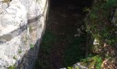 Trail Walking Chassagne-Saint-Denis - Chassagne st denis - Photo 12