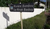 Percorso Marcia Le François - Rivière bambou  barrage lamanzo  - Photo 6