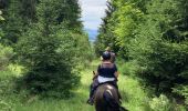 Tour Reiten Bertrimoutier - Restaurant belle vue col de sainte marie Tivio  - Photo 16