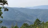 Trail Walking Cavalaire-sur-Mer - Cavalaire - oppidum de montjean crête des pradels - Photo 6