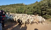 Tour Wandern Montpeyroux - arsel la grotte aux fees - Photo 19