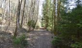Trail On foot Glonn - Wanderweg 3, Glonn - Photo 4