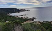 Tocht Stappen Belvédère-Campomoro - Tour de Campomoro - Photo 2