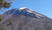 Trail Walking Cruet - Col-Marocaz-2021-03-21 - Photo 3