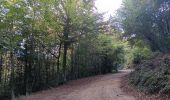 Tour Wandern L'Albère - ullat - san-cristau / retour par la piste  - Photo 3